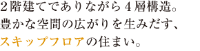2階建てでありながら4層構造。豊かな空間の広がりを生みだす、スキップフロアの住まい。